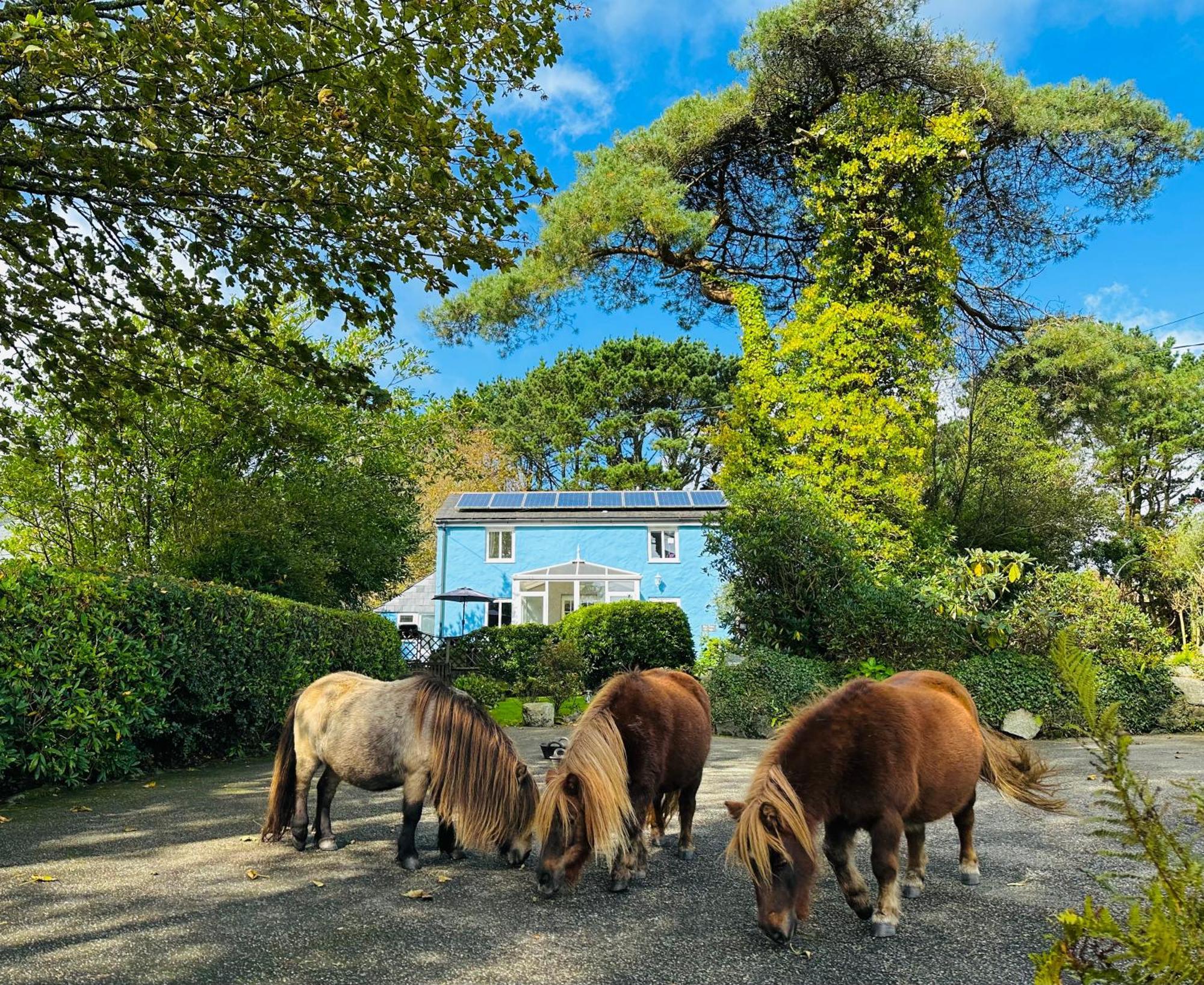 Bay View Cottage Сейнт Остел Екстериор снимка